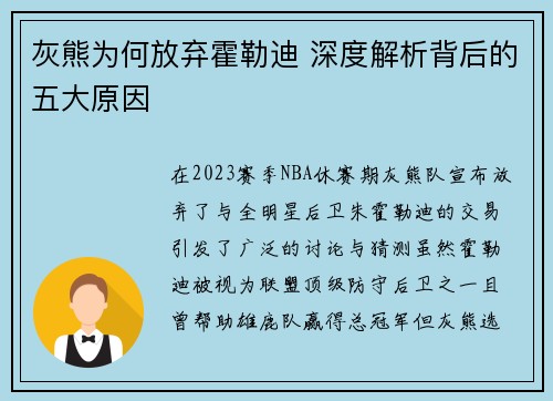 灰熊为何放弃霍勒迪 深度解析背后的五大原因