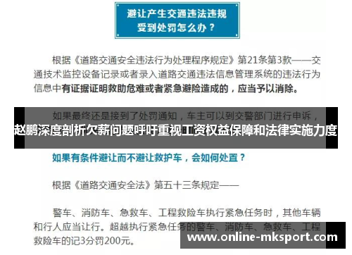 赵鹏深度剖析欠薪问题呼吁重视工资权益保障和法律实施力度